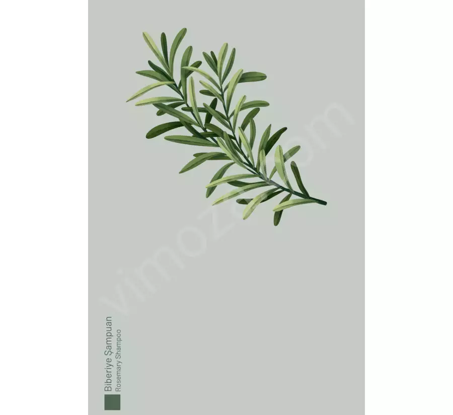 Seed Natural Herbs Biberiye Şampuanı Dökülme Karşıtı ve Hızlı Uzamaya Yardımcı Keratin Özlü 250 ml_4