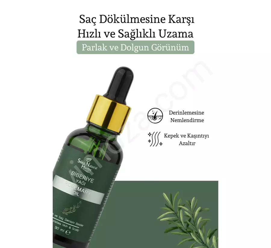 Seed Natural Herbs Doğal Biberiye Yağı Saç Dökülmesi ve Yıpranmış Saçlar için Hızlı Saç Uzatan Saç Bakımı 30 ml_4